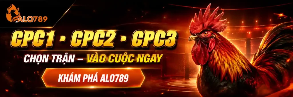Alo789 lider 01