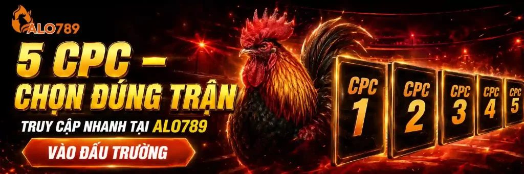 Alo789 lider 03